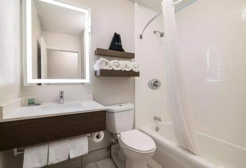 身障者適用スタンダードルーム, Best Western Plymouth Innwhite Mountains