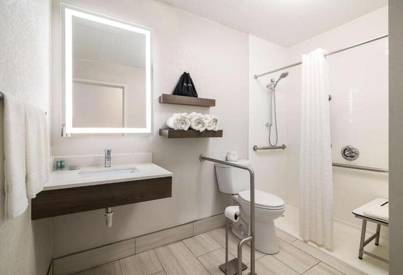 Номер Стандарт Адаптированный для Инвалидов, Best Western Plymouth Innwhite Mountains