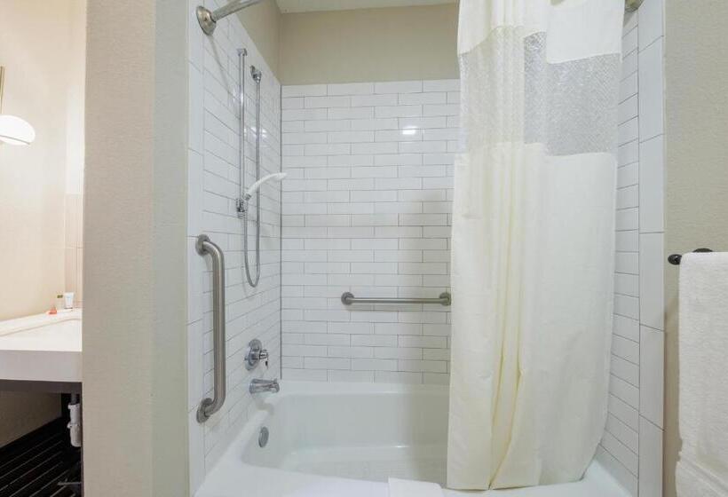 身障者適用スタンダードルーム, Blanco River