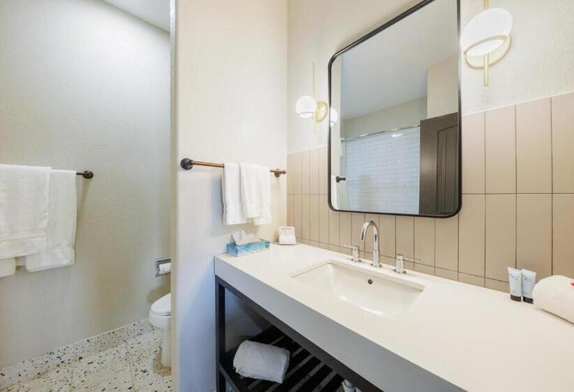 身障者適用スタンダードルーム, Blanco River