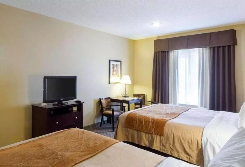 スタンダードルーム, Comfort Inn & Suites
