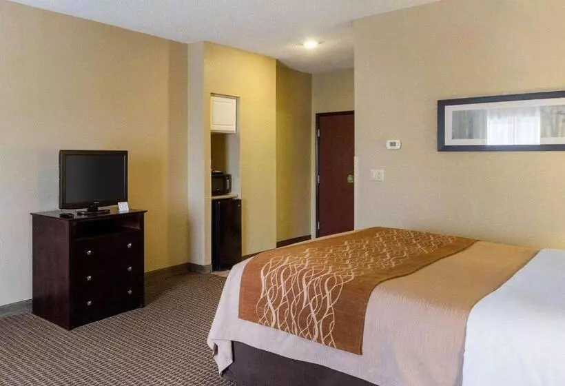 キングサイズベッドのスタンダードルーム, Comfort Inn & Suites