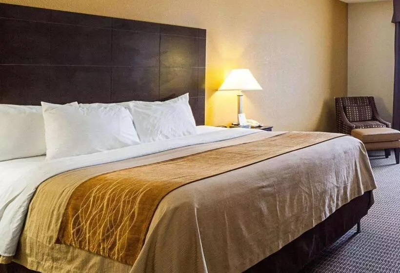 キングサイズベッドのスタンダードルーム, Comfort Inn & Suites