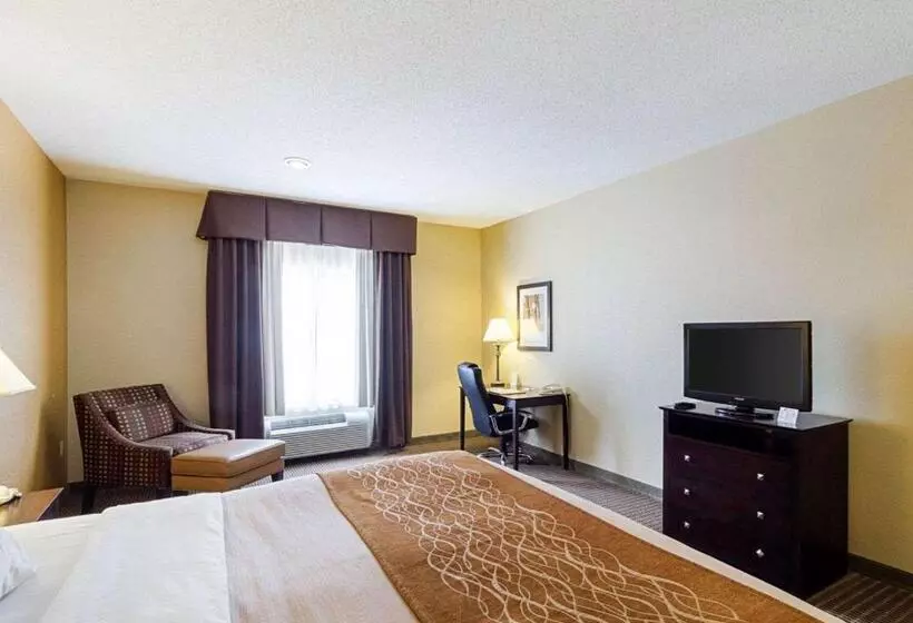キングサイズベッドのスタンダードルーム, Comfort Inn & Suites