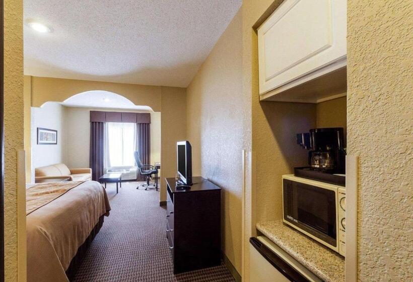 带大床的套房, Comfort Inn & Suites