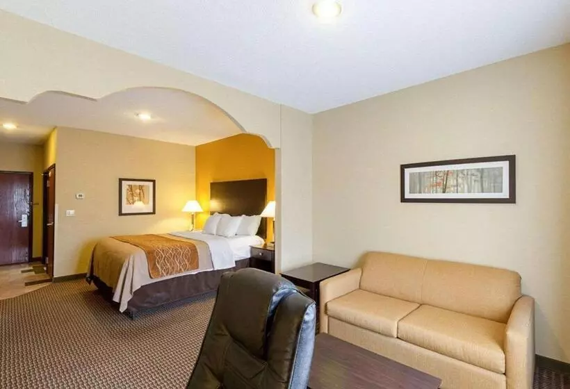 キングサイズベッドのスイートルーム, Comfort Inn & Suites