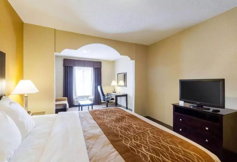 キングサイズベッドのスイートルーム, Comfort Inn & Suites