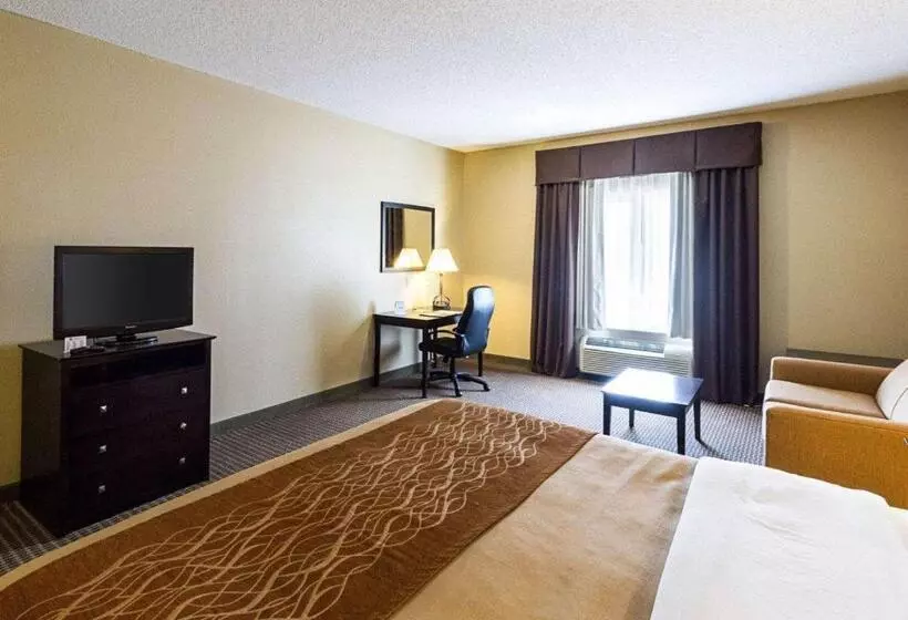 身障者適用キングサイズベッドルーム, Comfort Inn & Suites