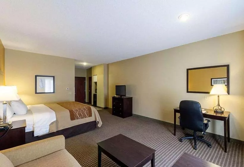 身障者適用キングサイズベッドルーム, Comfort Inn & Suites