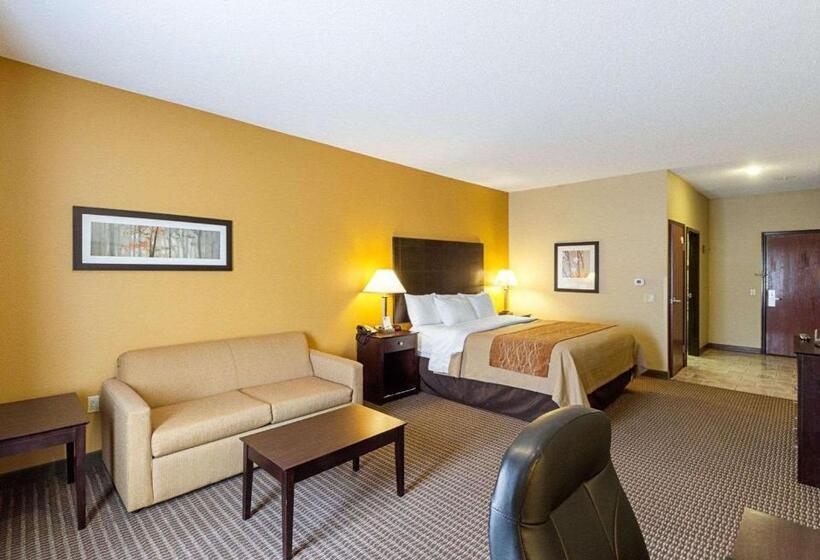 غرفة قياسية سرير كينج لذوى الإحتياجات الخاصة, Comfort Inn & Suites