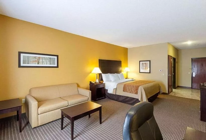身障者適用キングサイズベッドルーム, Comfort Inn & Suites