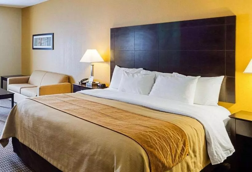身障者適用キングサイズベッドルーム, Comfort Inn & Suites