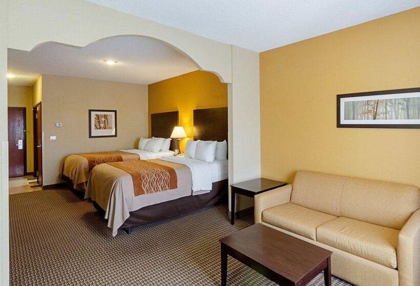 套房, Comfort Inn & Suites