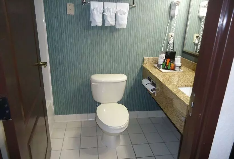 スタンダードルーム, Comfort Inn & Suites