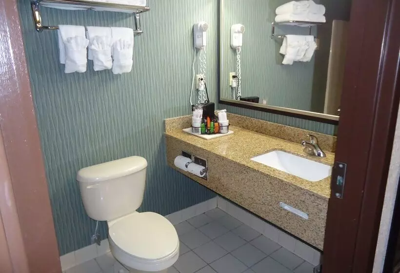 スタンダードルーム, Comfort Inn & Suites