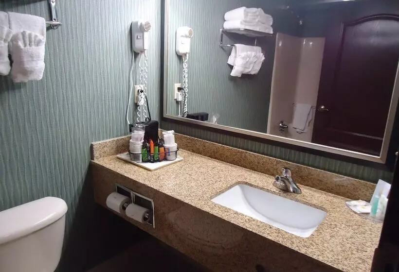スイート, Comfort Inn & Suites