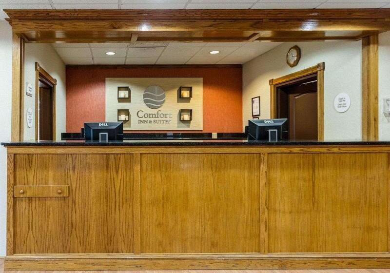 غرفة قياسية سرير كينج, Comfort Inn & Suites