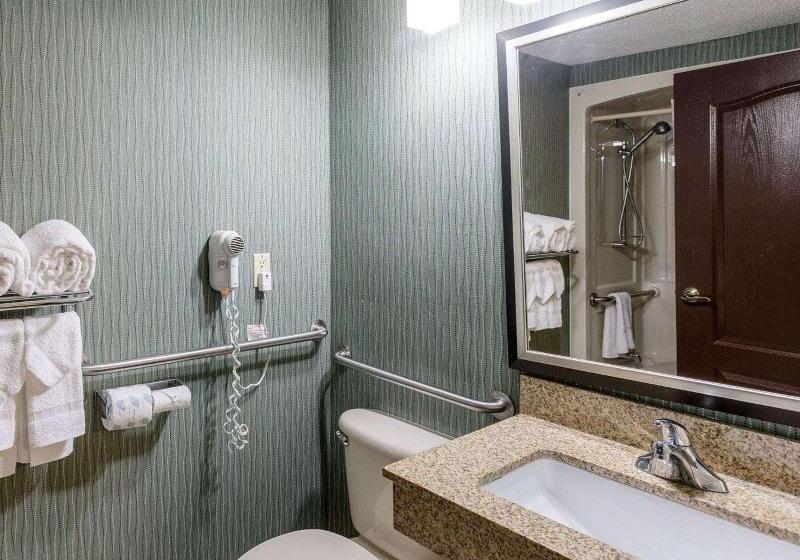 스탠다드 룸 킹사이즈 침대, Comfort Inn & Suites