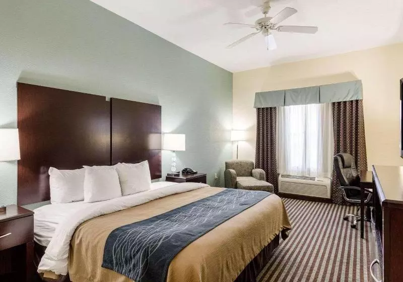 キングサイズベッドのスタンダードルーム, Comfort Inn & Suites