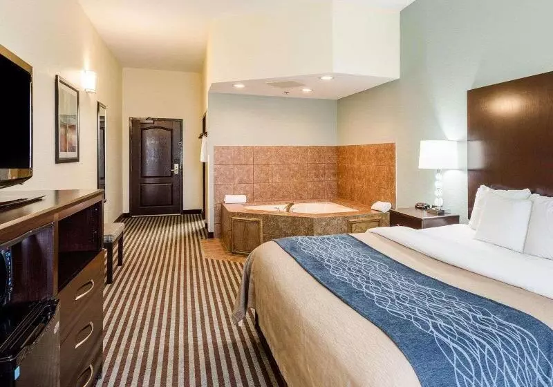 キングサイズベッドのスタンダードルーム, Comfort Inn & Suites