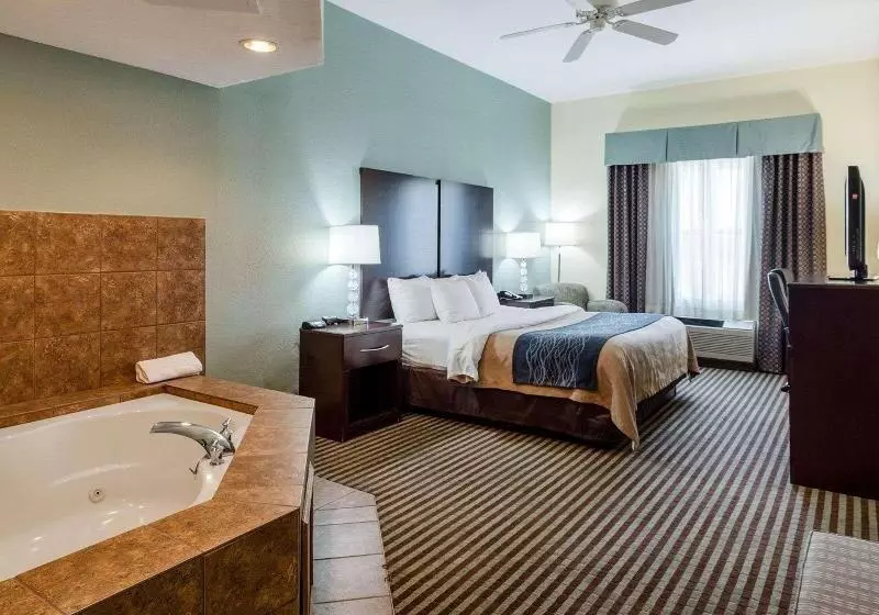 キングサイズベッドのスタンダードルーム, Comfort Inn & Suites