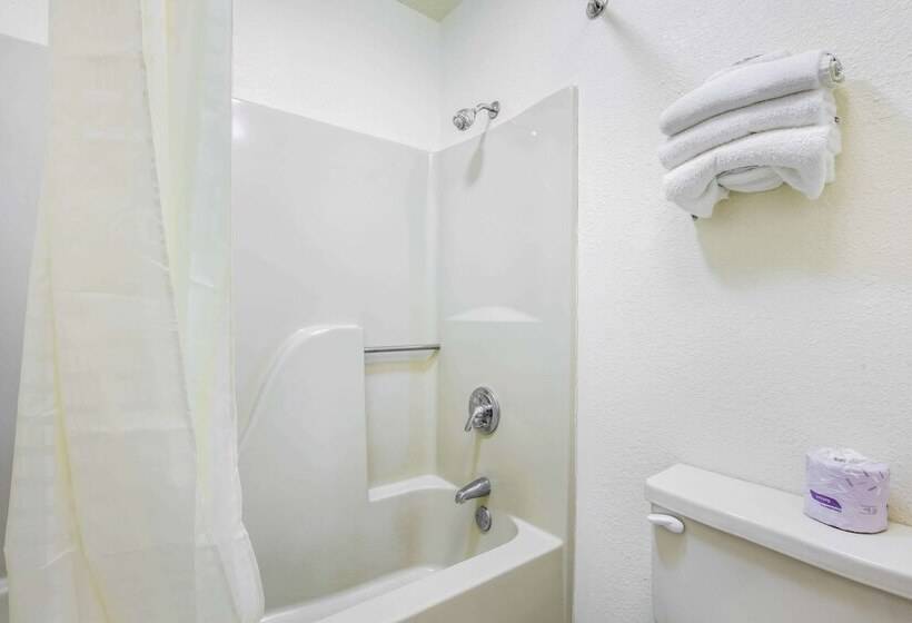 غرفه قياسيه سريرين مزدوجين, Econo Lodge & Suites Brinkley