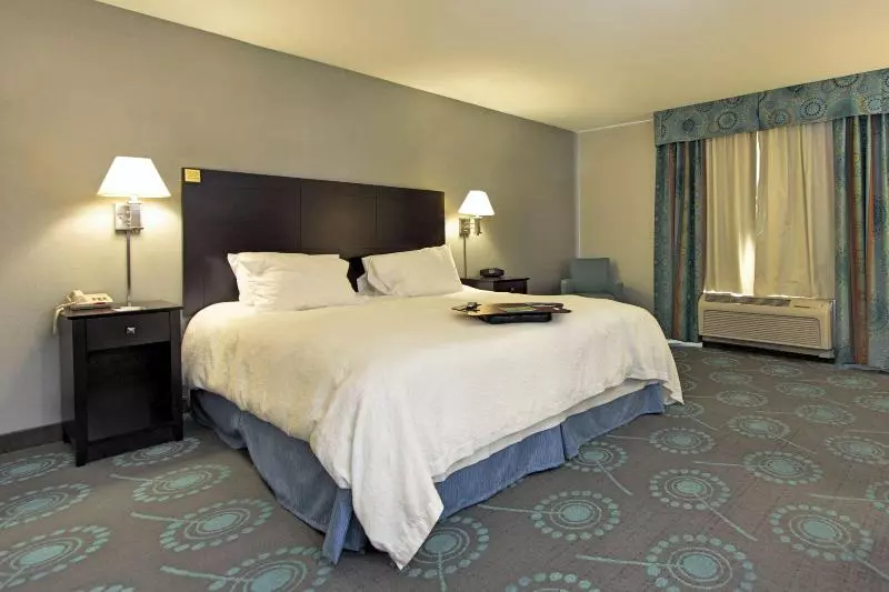 Standard Room King Size Bed