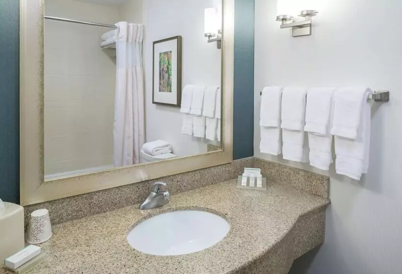 スタンダードルーム, Hilton Garden Inn Dothan