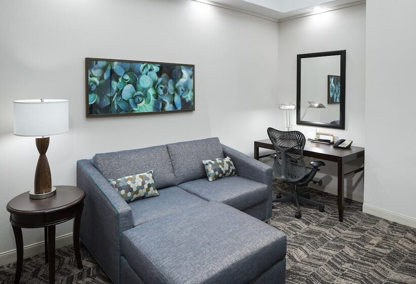 سوییت جونیور, Hilton Garden Inn Dothan