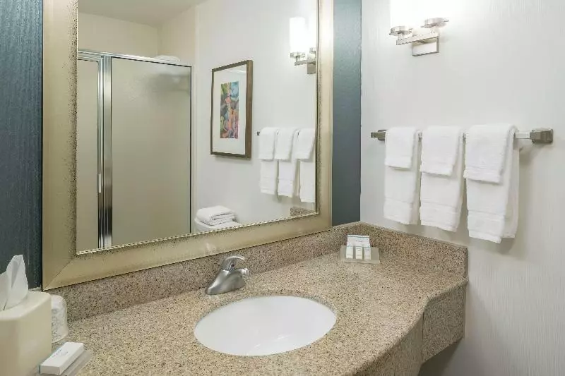 キングサイズベッドのジュニアスイート, Hilton Garden Inn Dothan