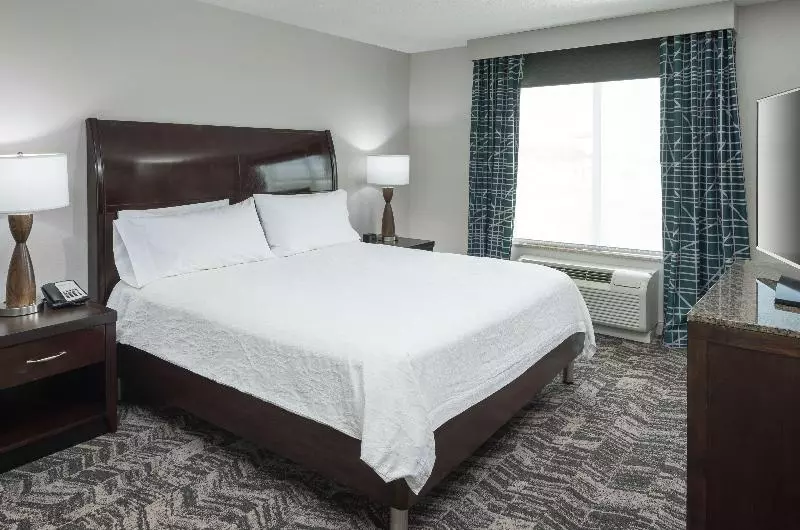 キングサイズベッドのスイートルーム, Hilton Garden Inn Dothan