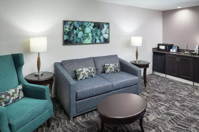 キングサイズベッドのスイートルーム, Hilton Garden Inn Dothan