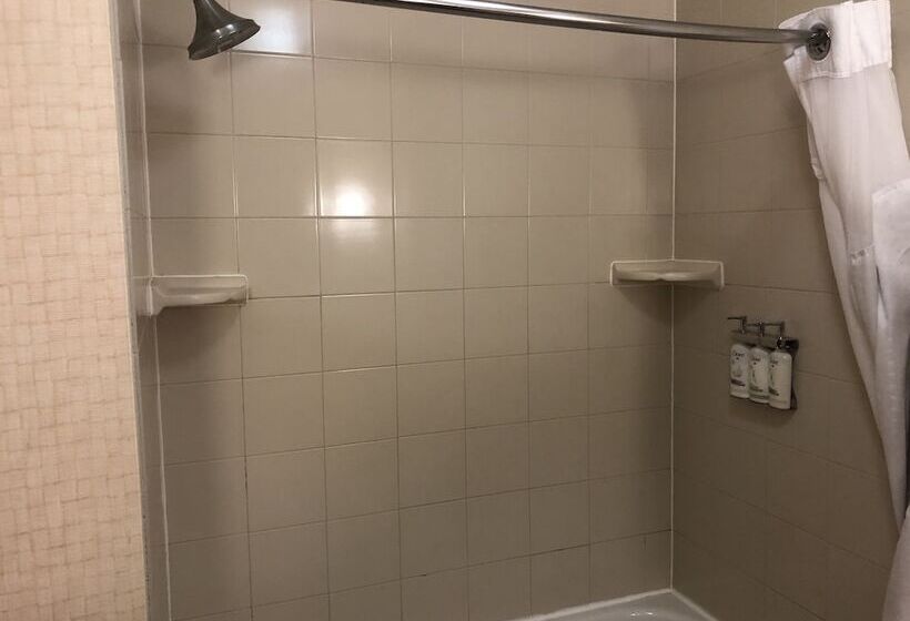 جناح, Holiday Inn Express Hotel & Suites Lansing Dimondale, An Ihg