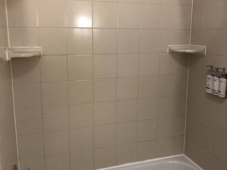 جناح, Holiday Inn Express Hotel & Suites Lansing Dimondale, An Ihg