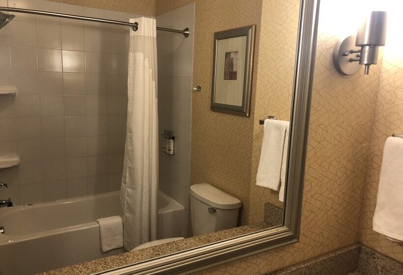 Люкс, Holiday Inn Express Hotel & Suites Lansing Dimondale, An Ihg