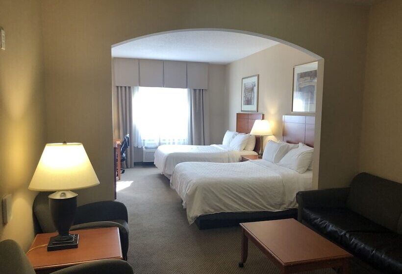 جناح, Holiday Inn Express Hotel & Suites Lansing Dimondale, An Ihg