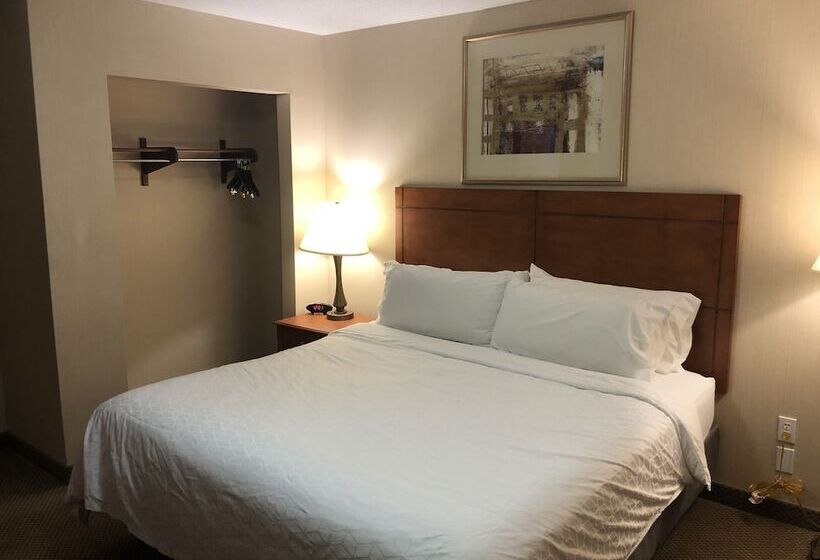 جناح, Holiday Inn Express Hotel & Suites Lansing Dimondale, An Ihg