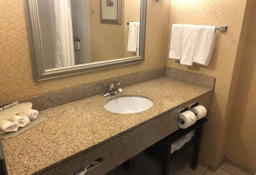 Номер Стандарт, Holiday Inn Express Hotel & Suites Lansing Dimondale, An Ihg