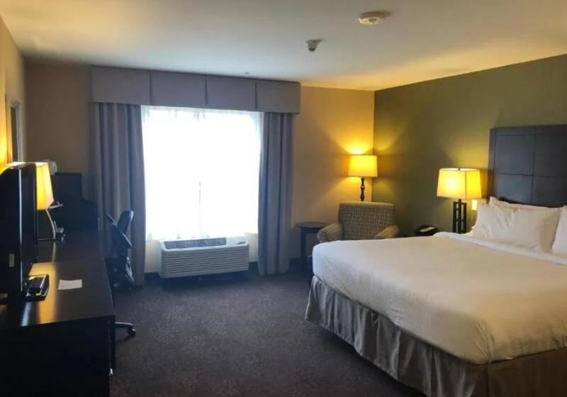 Люкс Кровать Кинг, Holiday Inn Express Hotel & Suites Lansing Dimondale, An Ihg