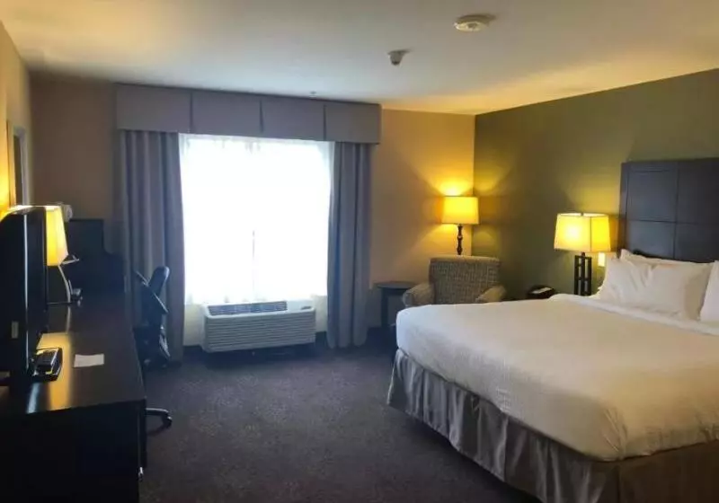 キングサイズベッドのスイートルーム, Holiday Inn Express Hotel & Suites Lansing Dimondale, An Ihg