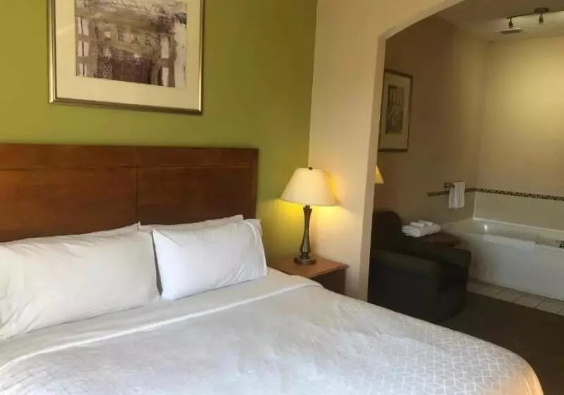 キングサイズベッドのスイートルーム, Holiday Inn Express Hotel & Suites Lansing Dimondale, An Ihg