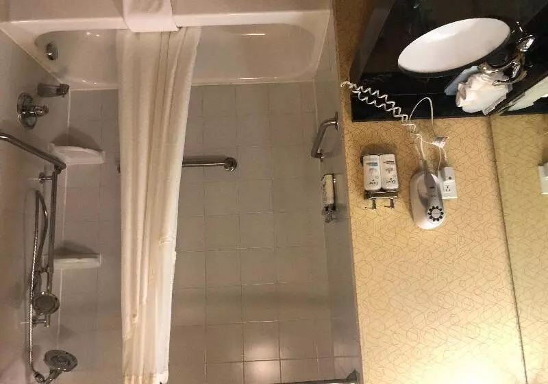 スイート, Holiday Inn Express Hotel & Suites Lansing Dimondale, An Ihg