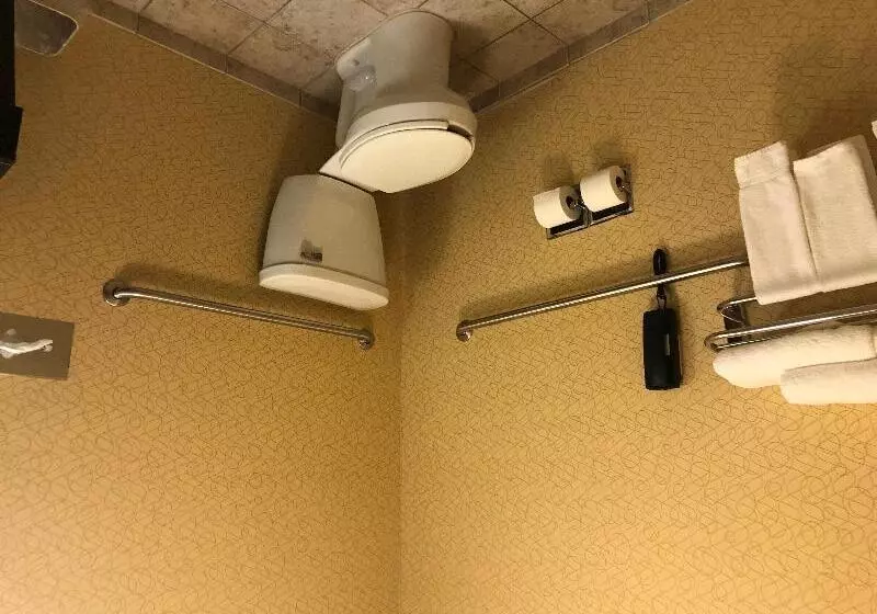 スイート, Holiday Inn Express Hotel & Suites Lansing Dimondale, An Ihg