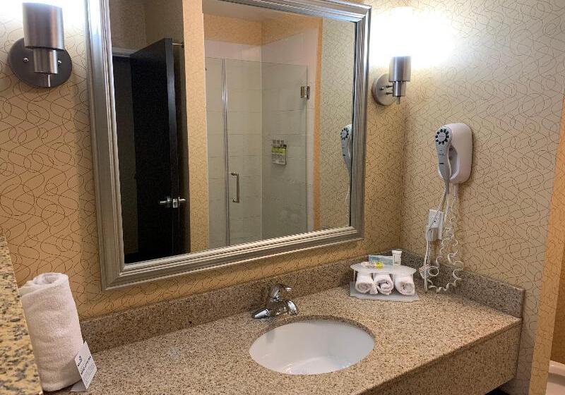 غرفة قياسية سرير كينج لذوى الإحتياجات الخاصة, Holiday Inn Express Hotel & Suites Lansing Dimondale, An Ihg