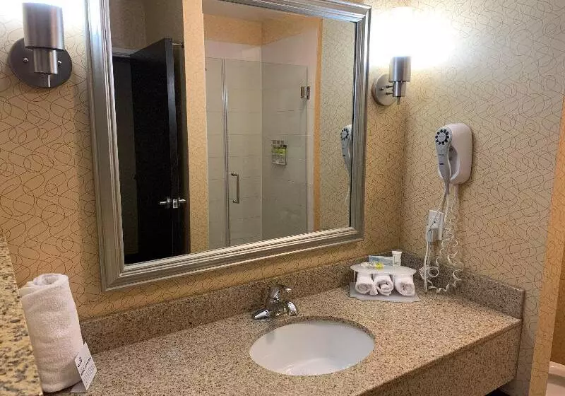 身障者適用キングサイズベッドルーム, Holiday Inn Express Hotel & Suites Lansing Dimondale, An Ihg