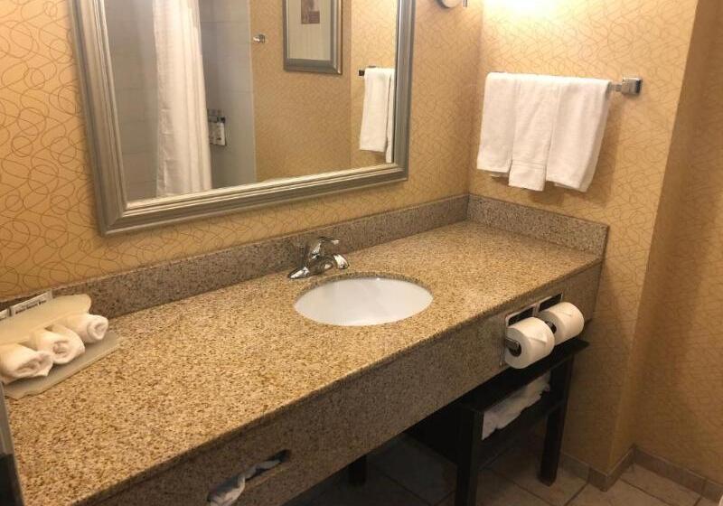 Номер Стандарт Кровать Кинг Адаптированный для Инвалидов, Holiday Inn Express Hotel & Suites Lansing Dimondale, An Ihg