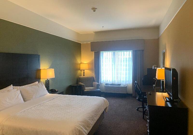 غرفة قياسية سرير كينج لذوى الإحتياجات الخاصة, Holiday Inn Express Hotel & Suites Lansing Dimondale, An Ihg