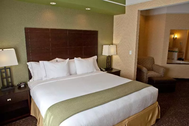 キングサイズベッドのスタンダードルーム, Holiday Inn Express Hotel & Suites Lansing Dimondale, An Ihg