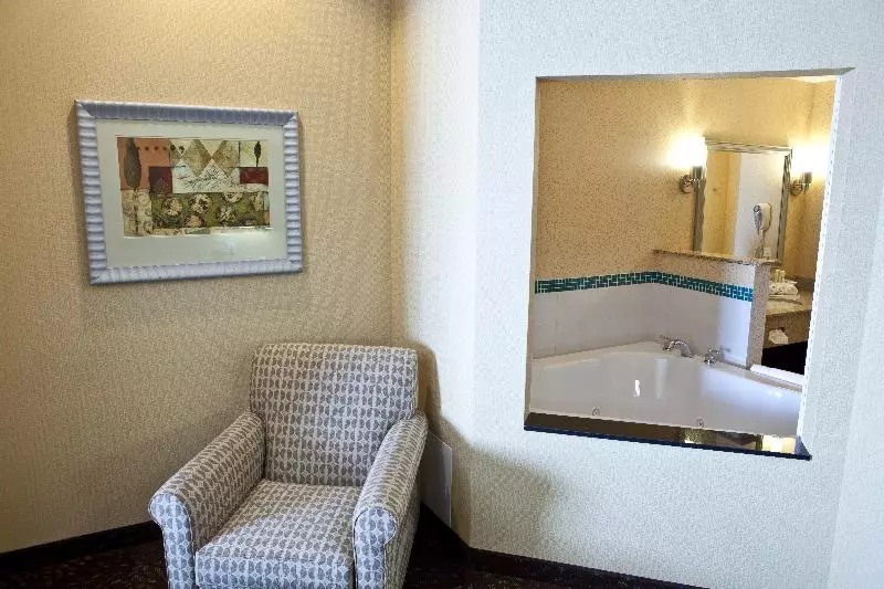キングサイズベッドのスタンダードルーム, Holiday Inn Express Hotel & Suites Lansing Dimondale, An Ihg