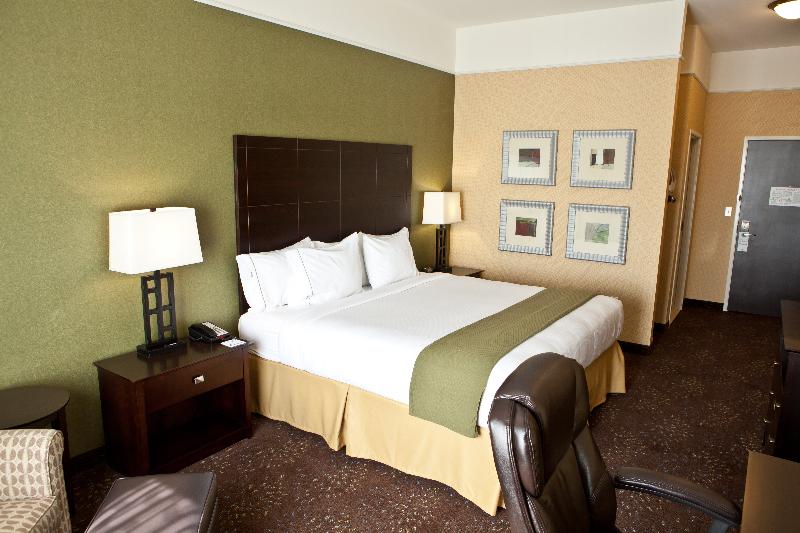 غرفة قياسية سرير كينج, Holiday Inn Express Hotel & Suites Lansing Dimondale, An Ihg
